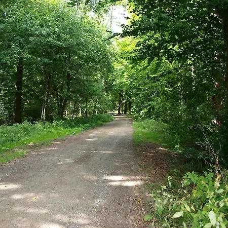 With 3 Bedrooms * Freudenstadt